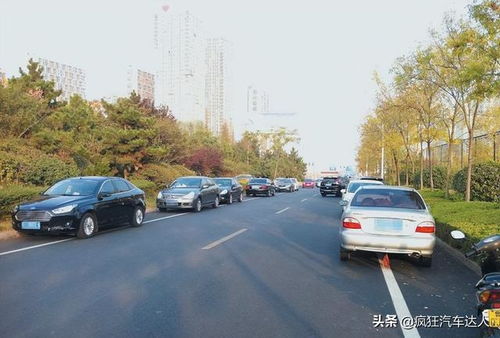 汽车违章共多少项